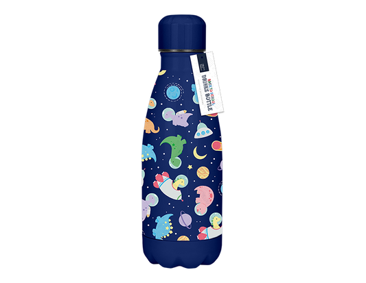 Boys Printed Metal Water Bottle (350ml)