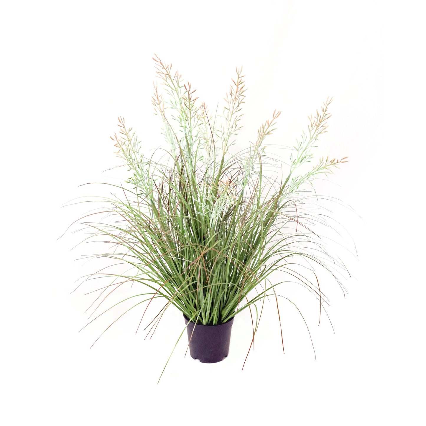 Potted Grass Bush (63cm)