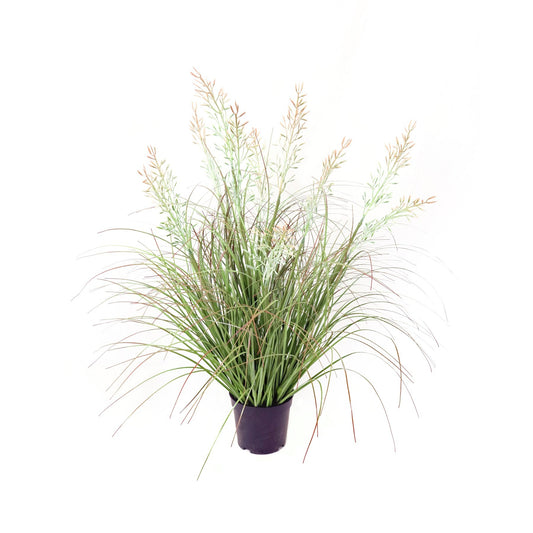 Potted Grass Bush (63cm)