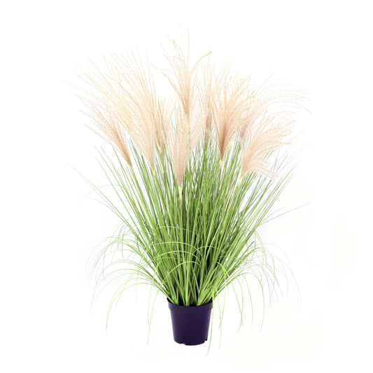 Potted Pampas Bush (86cm)