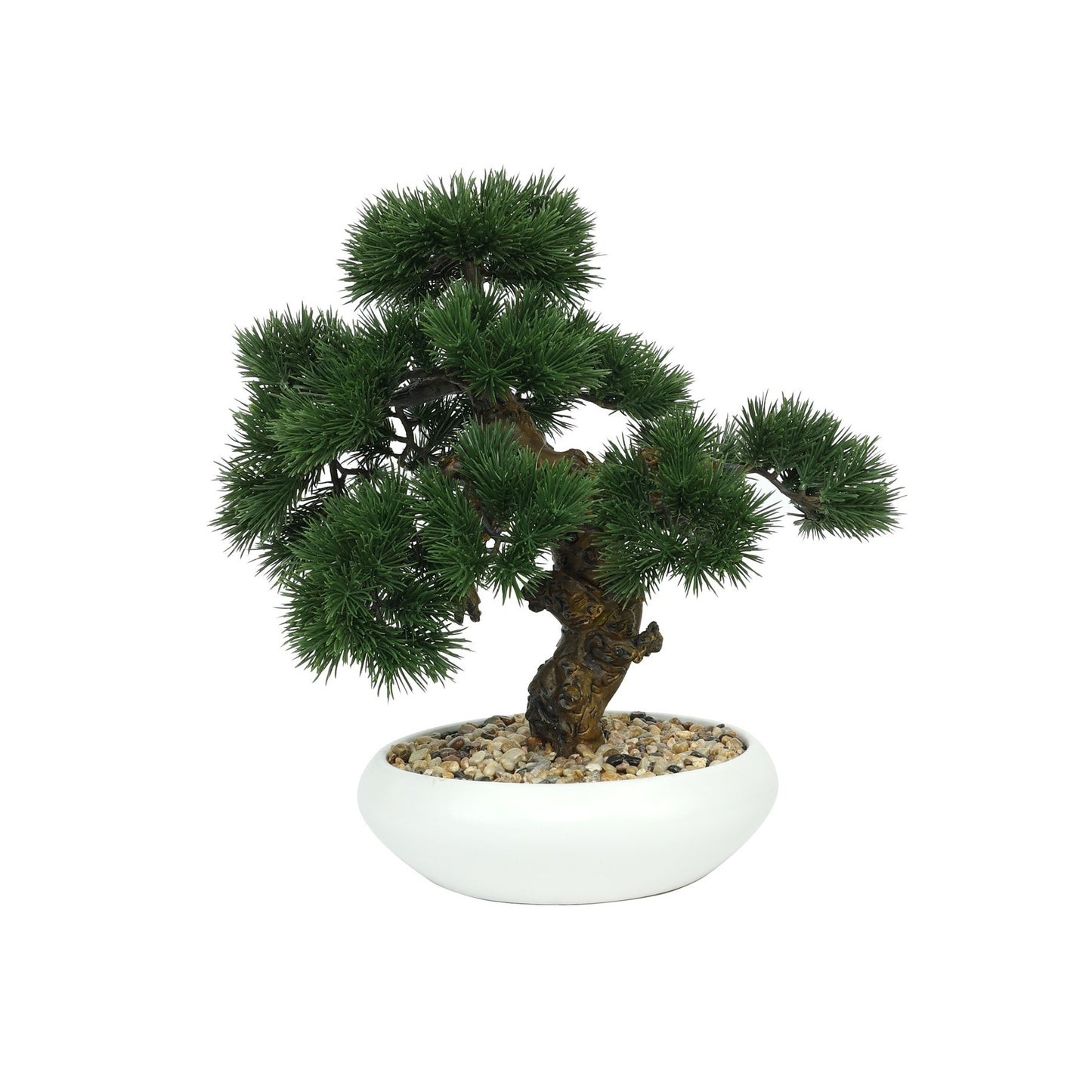 Botanica Potted Bonsai (35cm)