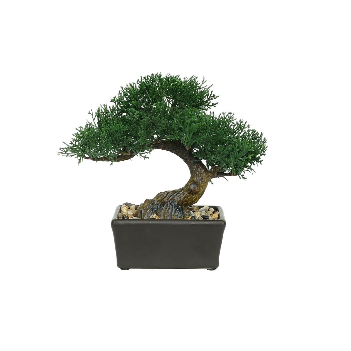 Mini Botanica Potted Bonsai