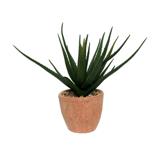 Terracotta Botanica Potted Agave (44cm)