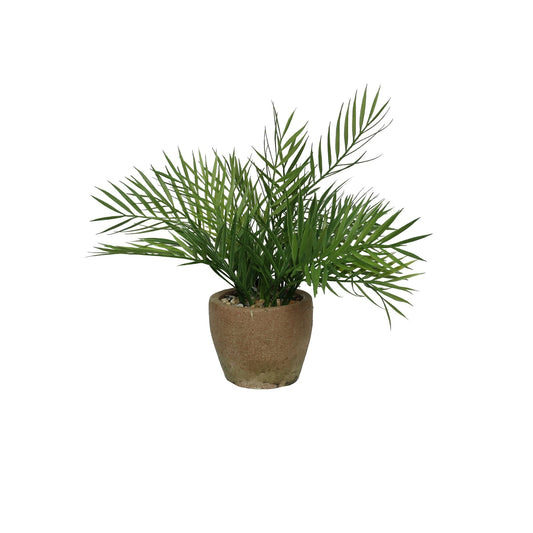 Terracotta Botanica Potted Palm (35cm)