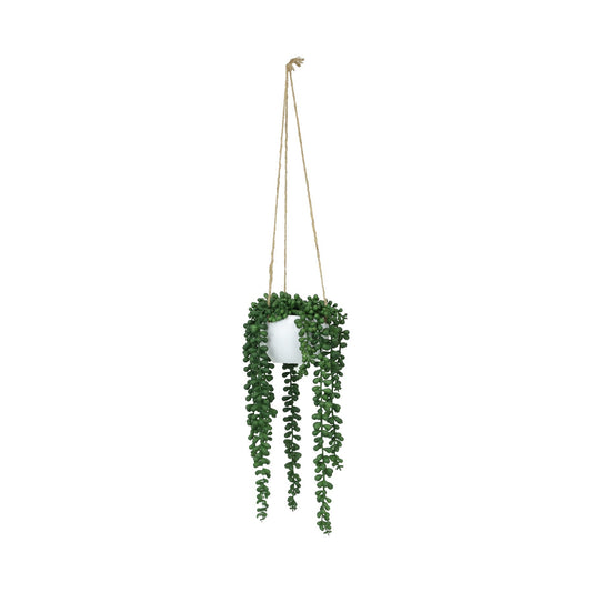 Botanica Potted Hanging String of Pearls