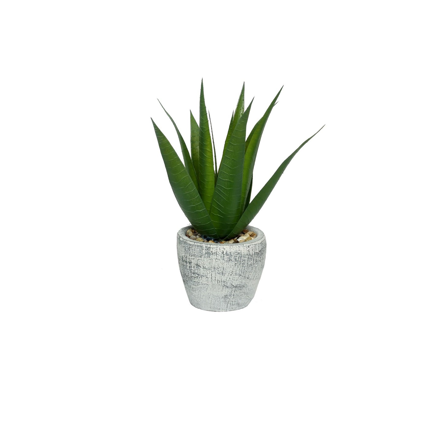 Botanica Potted Aloe (79cm)