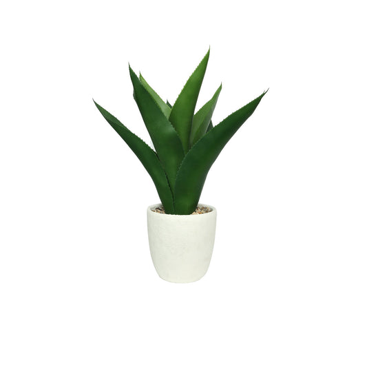 White Botanica Potted Agave (61cm)