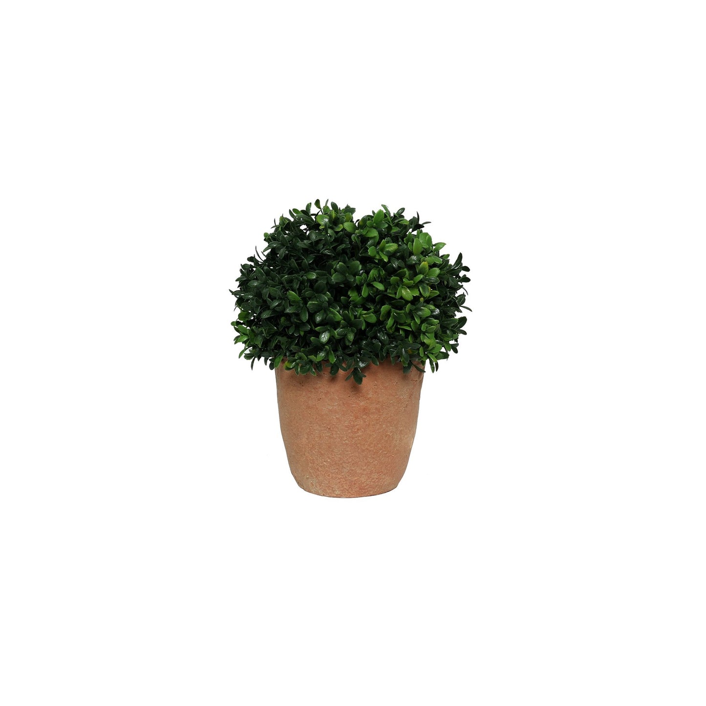 Terracotta Botanica Potted Topiary (19cm)